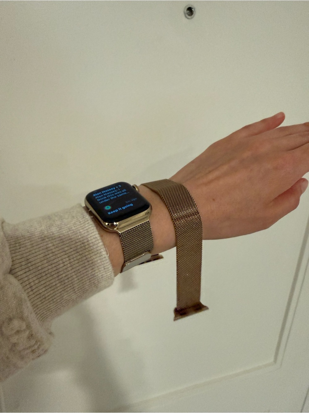 Apple Rose Gold Milanese Loop Watch Band